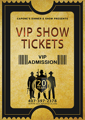Image of VIP Admission Ticket